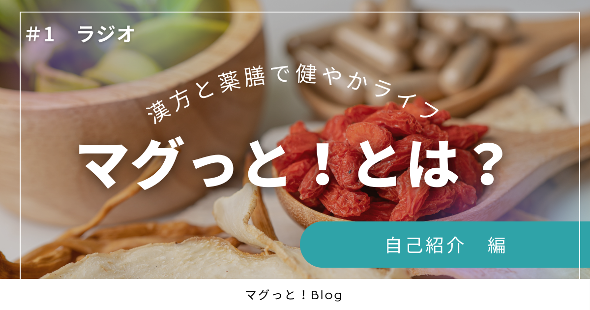 自己紹介 マグっと！とは？